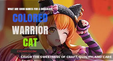 Cocoa Courage: Naming Your Chocolate-Colored Warrior Cat