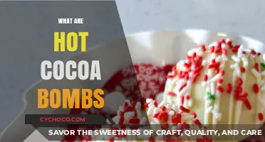 Exploring Hot Cocoa Bombs: A Delicious Winter Treat Unveiled