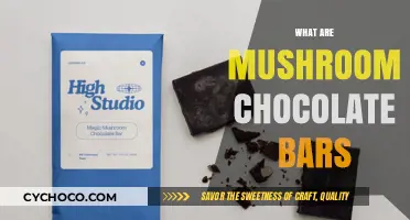 Exploring the World of Mushroom Chocolate Bars: A Delicious Fusion