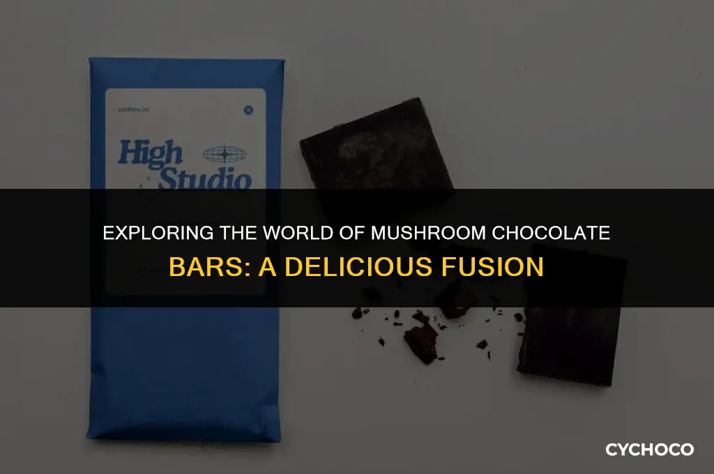 what are mushroom chocolate bars