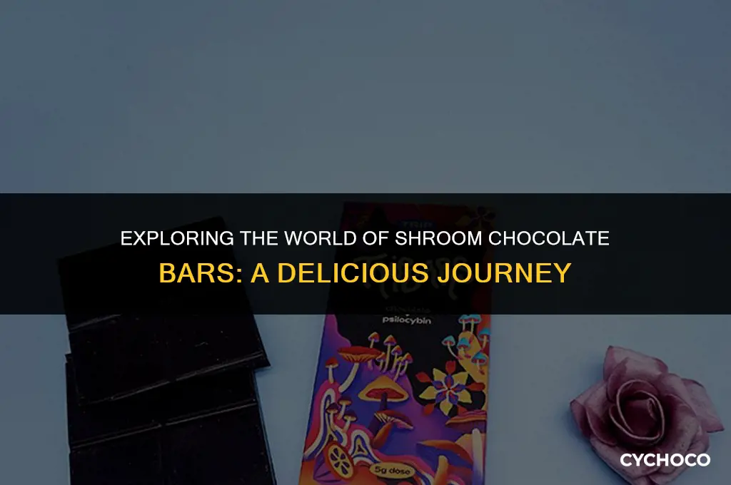 what are shroom chocolate bars