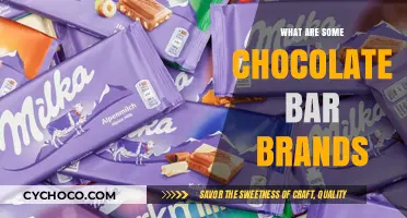 Unwrapping the World of Chocolate: A Guide to Top Brands