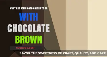 Harmonious Hues: Perfect Color Companions for Chocolate Brown
