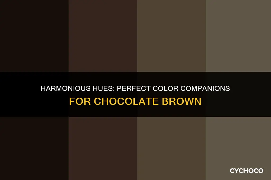 what are some good colors to go with chocolate brown