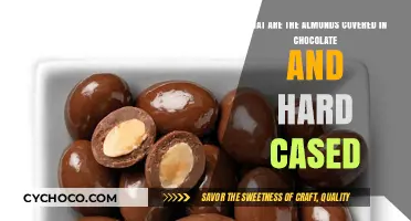 Indulge in Decadence: Chocolate-Dipped Almonds in a Hard Candy Shell