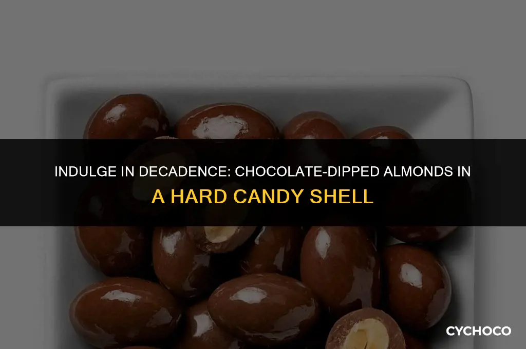 what are the almonds covered in chocolate and hard cased