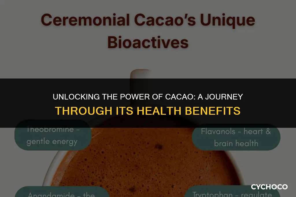 what are the benefits of cacao powder