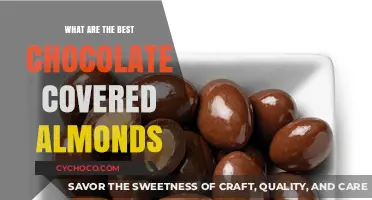 Indulge in Bliss: The Finest Chocolate-Covered Almonds Unveiled