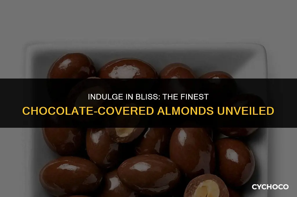 what are the best chocolate covered almonds