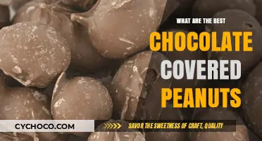 Indulge in the Finest: A Guide to the Best Chocolate-Covered Peanuts