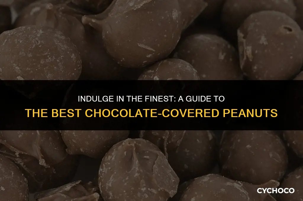 what are the best chocolate covered peanuts