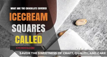 Delicious Chocolate-Covered Ice Cream Squares: A Sweet Treat Guide