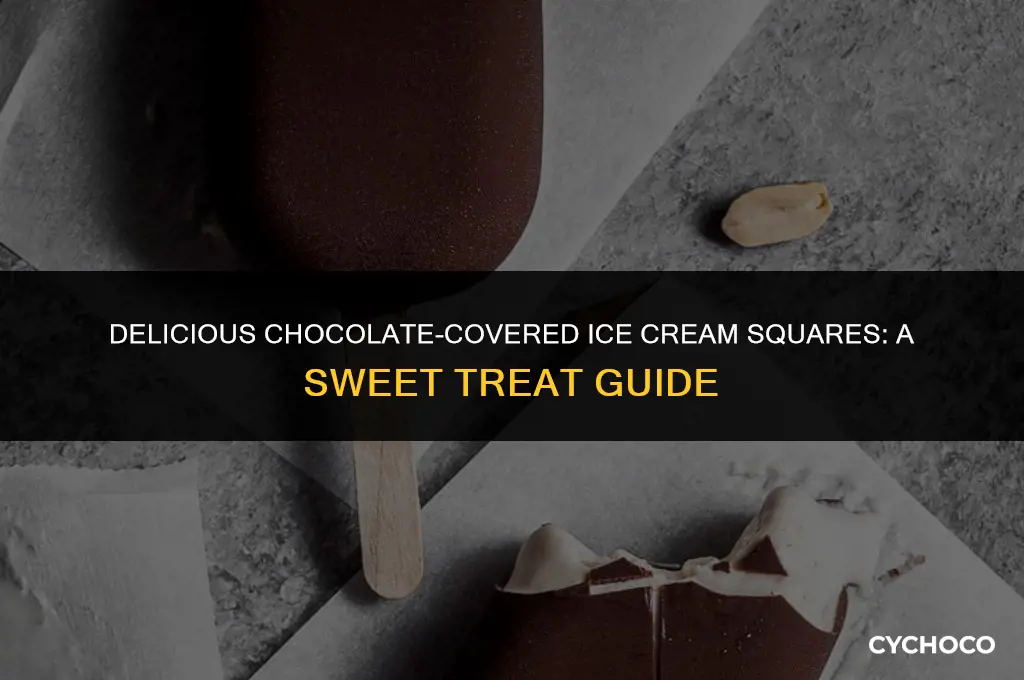what are the chocolate covered icecream squares called
