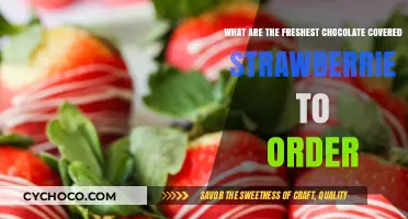 Indulge in the Freshest Chocolate-Covered Strawberries: A Delicious Guide