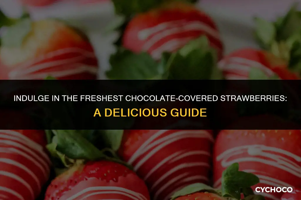 what are the freshest chocolate covered strawberries to order