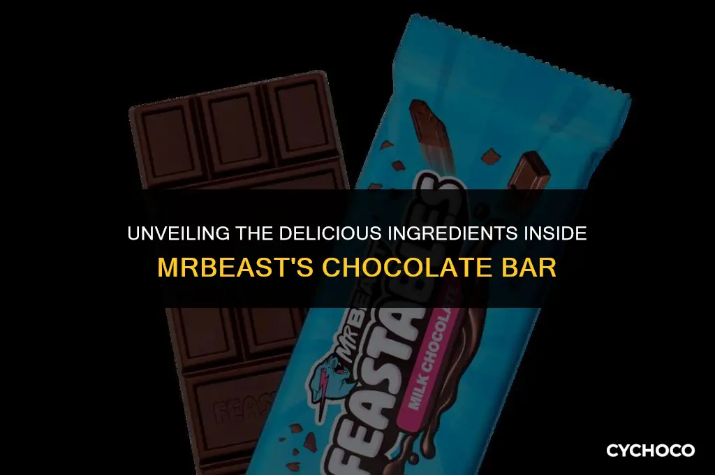 what are the ingredients in a mr beast chocolate bar