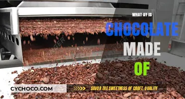 Unveiling the Sweet Alchemy: What Goes Into Making Chocolate?
