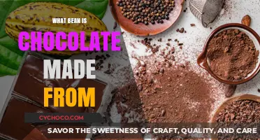Unveiling the Delicious Secret: Which Bean Makes Chocolate?