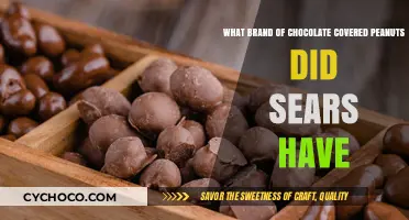 Unearthing the Classic: Sears' Iconic Chocolate-Covered Peanuts Brand