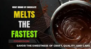 The Melting Point: A Chocolate Lover's Guide to Quick Dissolution