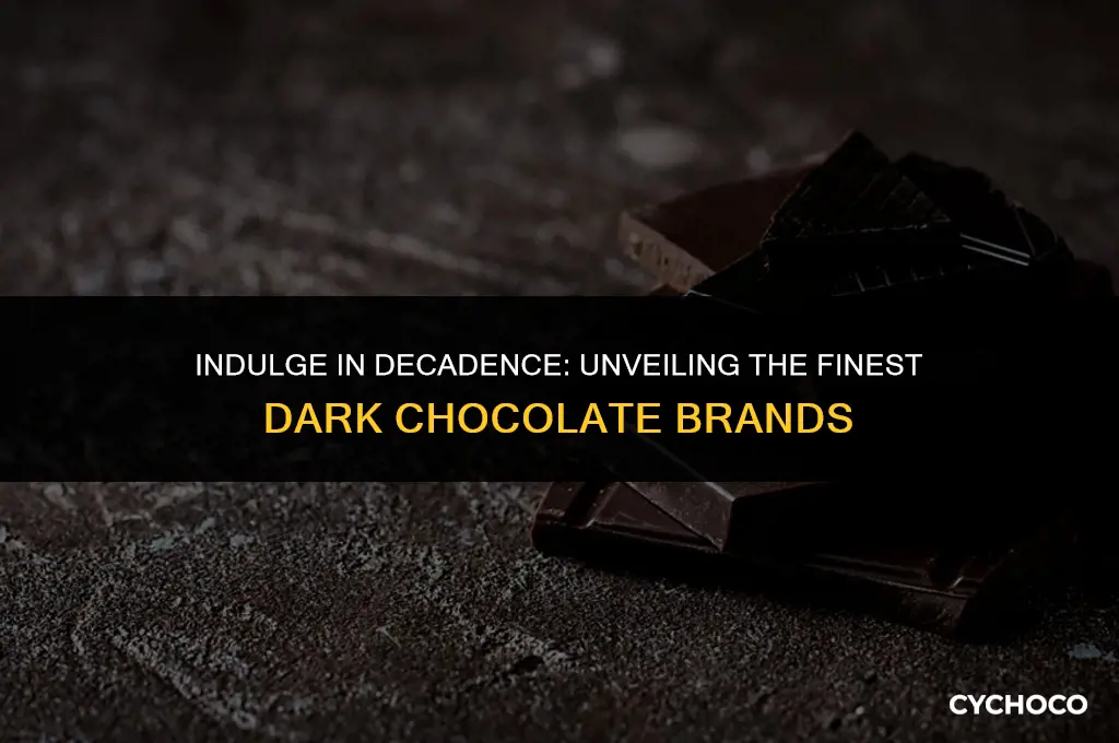 what brand of dark chocolate is the best