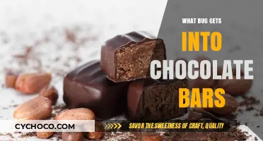 Unwanted Critters: The Pesky Bug Problem in Chocolate Bars
