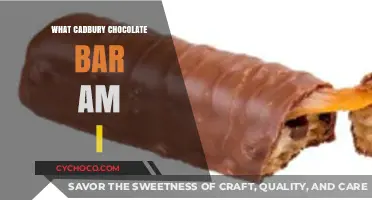Discover Your Cadbury Twin: Which Chocolate Bar Matches Your Personality?