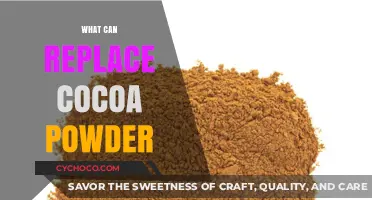 Exploring Delicious Alternatives to Cocoa Powder in Baking