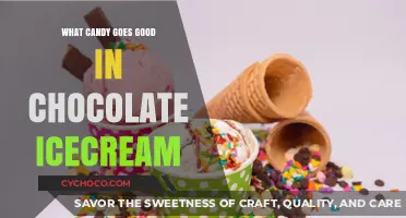 Sweet Symphony: Top Candy Picks for Chocolate Ice Cream