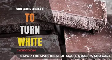 The Surprising Science Behind Chocolate Turning White