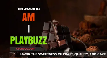 Unwrapping Personality: Which Chocolate Bar Are You?