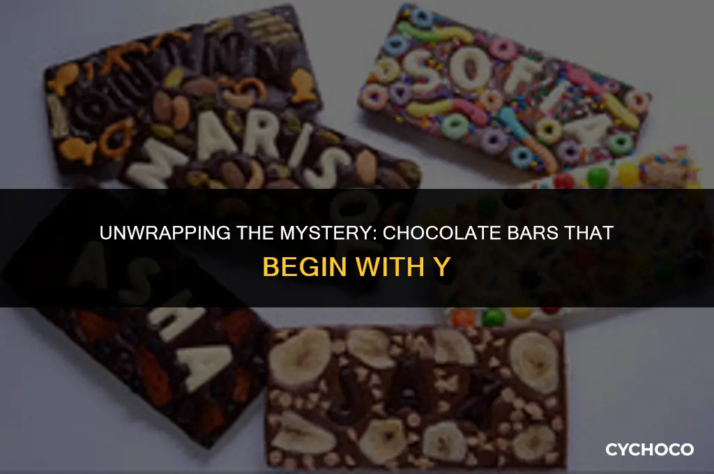 what chocolate bar begins with y