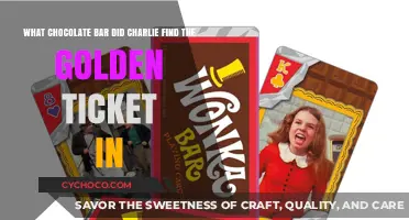 Unwrapping Nostalgia: The Chocolate Bar with the Golden Ticket