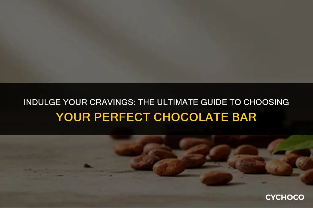 what chocolate bar do i want
