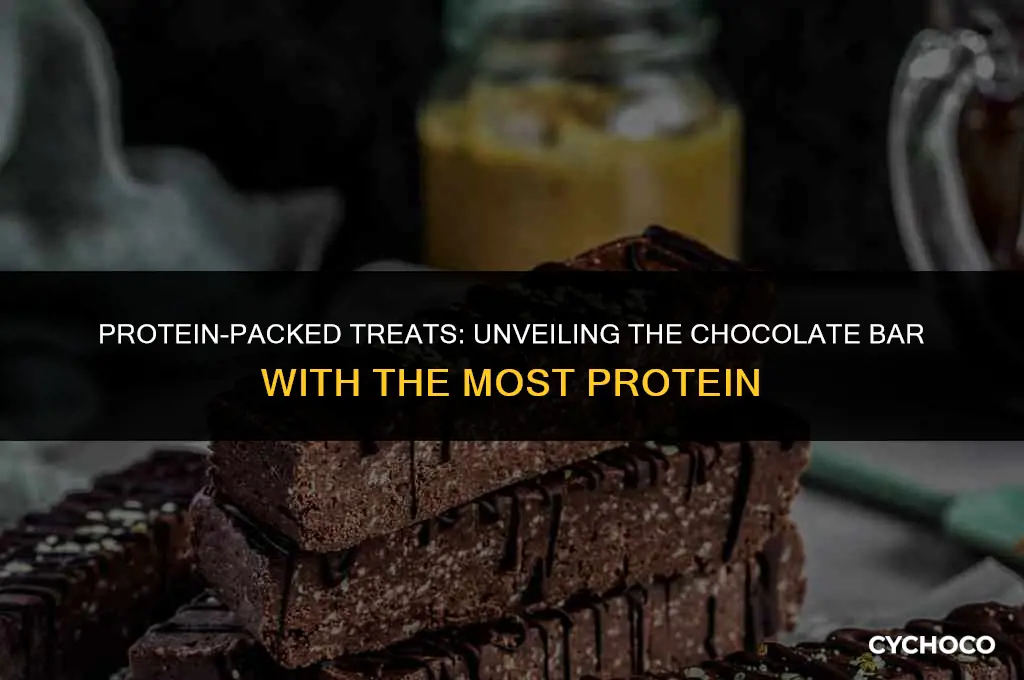 what chocolate bar has the most protein
