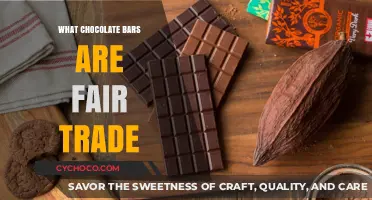 Ethical Indulgence: Unwrapping the Best Fair Trade Chocolate Bars