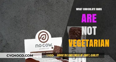 Unwrapping the Truth: Chocolate Bars That Aren't Vegetarian-Friendly
