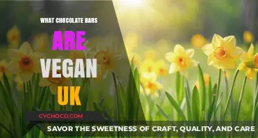 Discover the Best Vegan Chocolate Bars in the UK
