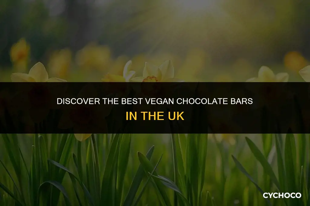 what chocolate bars are vegan uk