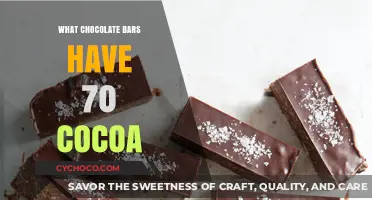 Indulge in Richness: Top Chocolate Bars with 70% Cocoa Content