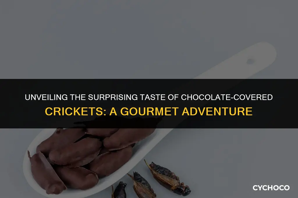 what chocolate covered crickets have been described to taste like