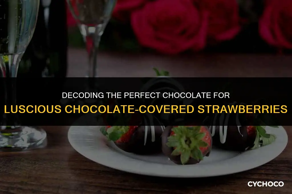what chocolate do u use for chocolate covered strawberries