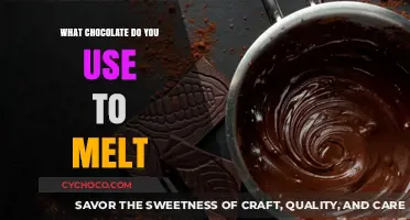 The Ultimate Guide to Melting Chocolate: Tips and Tricks