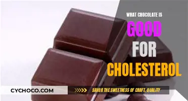 Decoding the Sweet Truth: Chocolates That Can Benefit Your Cholesterol