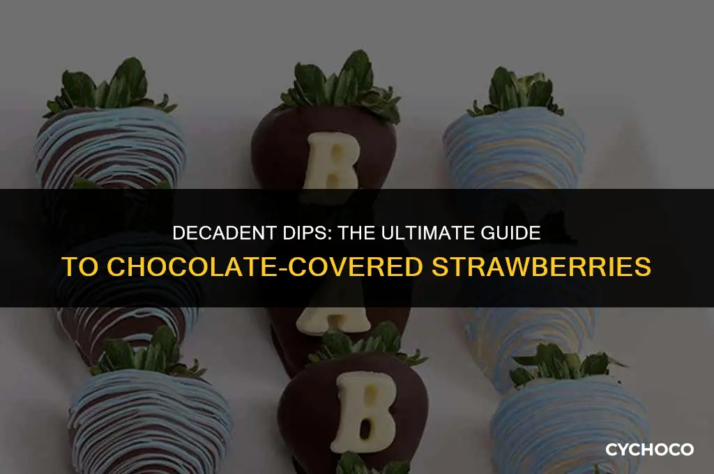 what chocolate is good for dipping strawberries