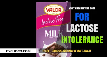 Indulge in Lactose-Friendly Chocolates: A Delicious Solution for Sensitive Stomachs