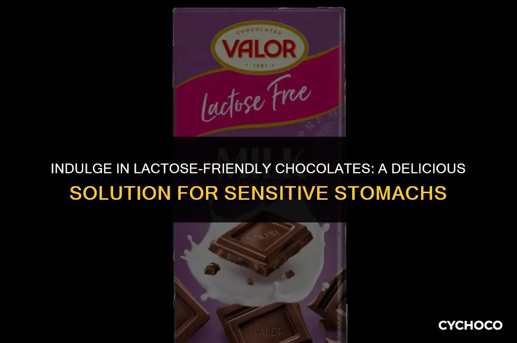 what chocolate is good for lactose intolerance