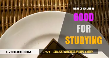 Boost Your Study Sessions: The Best Chocolates for Focus and Energy