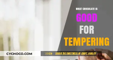 Mastering Chocolate Tempering: A Guide to the Best Types