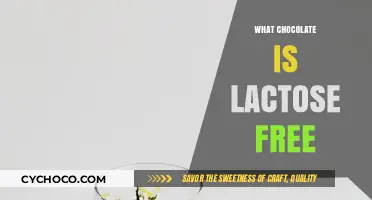 Lactose-Free Chocolate Guide: Indulge Without Dairy Worries
